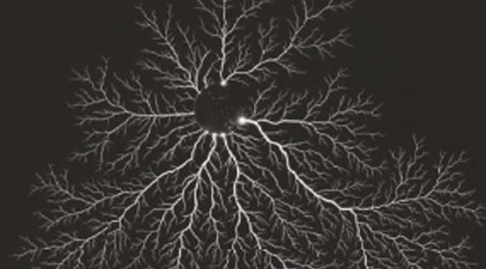 Libretto di appunti, aforismi e pensieri di Georg Christoph Lichtenberg