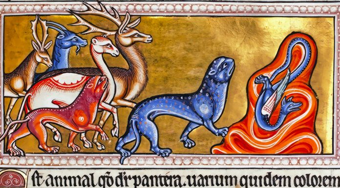 “L’epopea degli animali” di Charles Louandre Folio 9 recto of the Aberdeen Bestiary, the Panther (Detail). Unknown artist