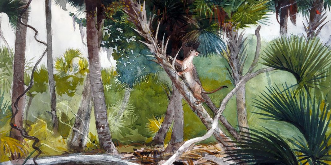 In the jungle, Florida, Winslow Homer (1904)