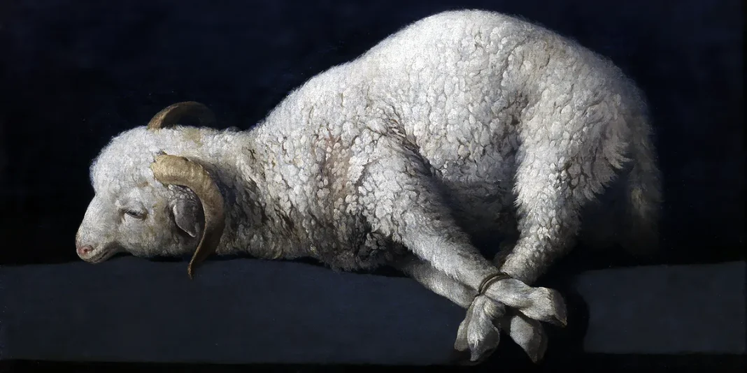 Agnus Dei, Francisco de Zurbaran (c.1635 – c.1640)