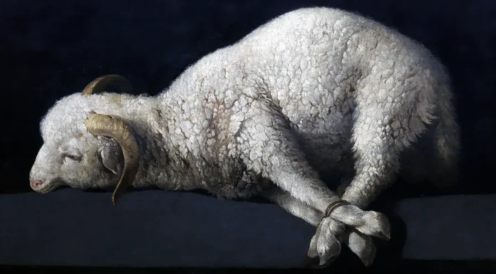 “L’animale quale soggetto di diritto” di Cesare Goretti Agnus Dei, Francisco de Zurbaran (c.1635 – c.1640)