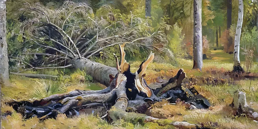 Fallen tree. Siverskaya, Ivan Shishkin