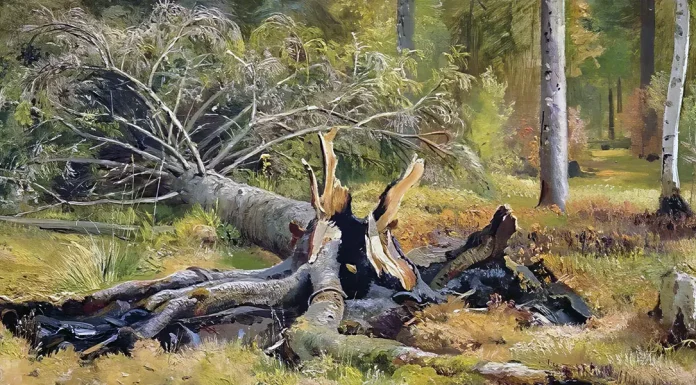 “La vita delle piante” di Luigi Montemartini Fallen tree. Siverskaya, Ivan Shishkin