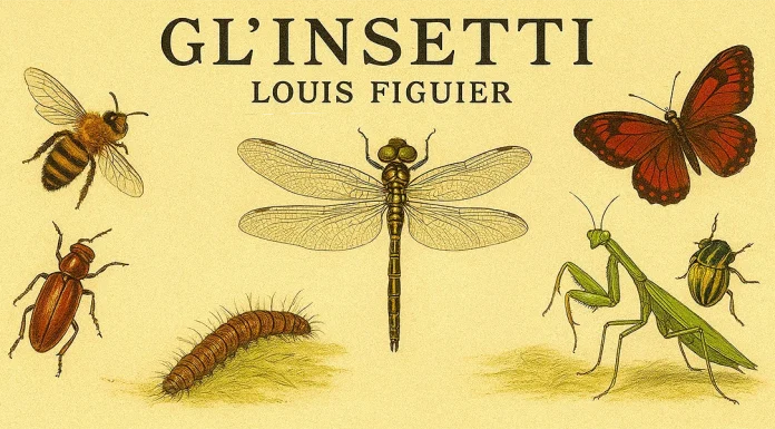 “Gl’insetti” di Louis Figuier Gl’insetti. Louis Figuier