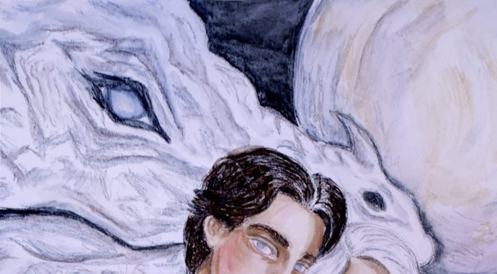 Tra Multiverso e Introspezione: La Sfida Young Adult di Luciano Palladini