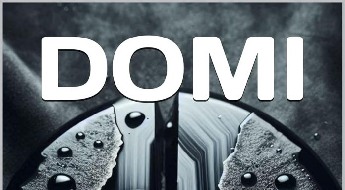 Tra Multiverso e Cyber-Criminologia: “DOMI” di Marco Cirinesi ridefinisce i confini del Noir