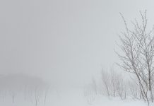 “Feeling You”, il nuovo progetto di Mario Massa e Raffaele Matta