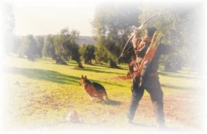Archery-Dog by FF