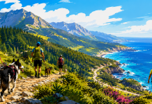 Storia e nascita del Dog Trekking