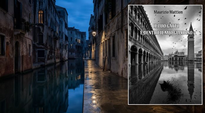 Venezia non fa da sfondo: quando la città diventa personaggio Venezia di notte e copertina del romanzo Il tuo gatto è dentro il mio giardino di Maurizio Mattion