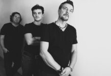 The Hermanos – è uscito “A flower in the cracks”